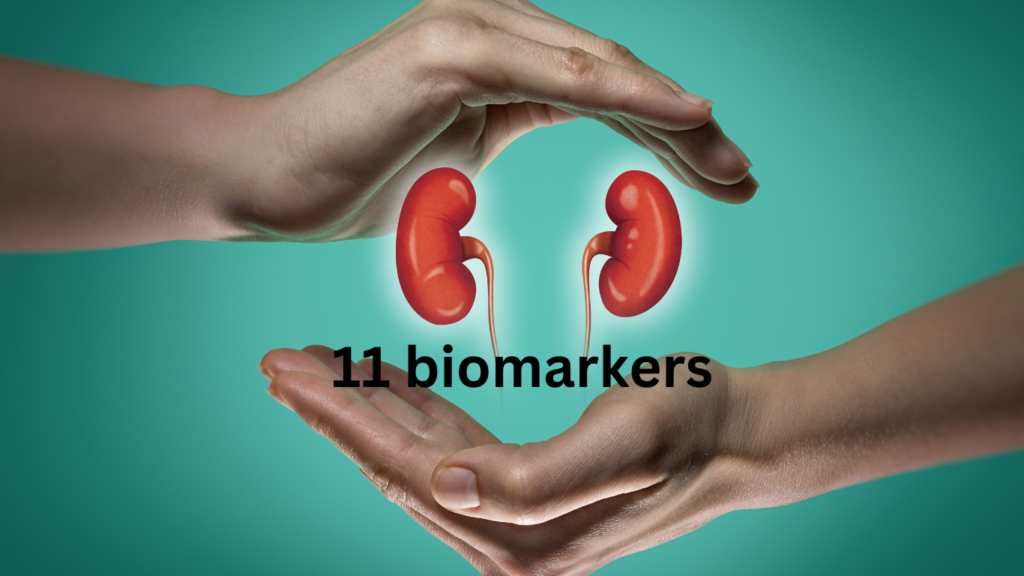 Kidneys